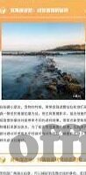 成人在线视频电影-成人在线视频电影，理性审视与边界探讨
