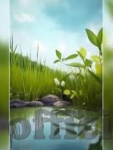黄片av日韩-日韩影视文化的多元视角，黄片AV的背后故事
