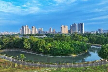 久久久不卡国产精品一区二区-探索国产精品一区二区的魅力与文化