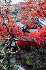 麻豆传媒映画app哪里下载-探索麻豆传媒映画APP的下载渠道之我见