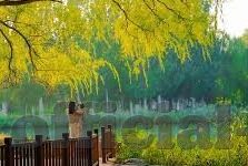 麻豆传媒最新-探寻麻豆传媒最新动向，创作者视角下的文化产业新风向