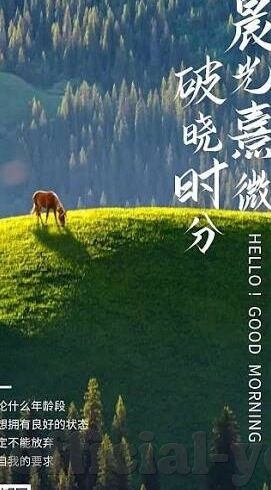 麻豆自制传媒 国产之光app-麻豆自制传媒，国产之光中的创新与未来