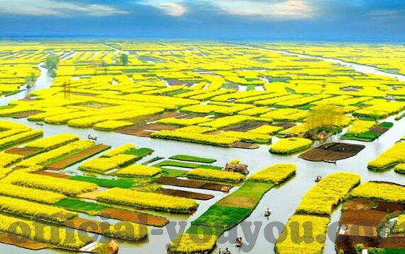 蜜桃传媒av免费观看麻豆-迷途与诱惑——网络成人内容的双刃剑