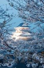 日韩AV新视觉国产网站-探索成人娱乐的多元化世界，日韩AV新视觉与国产网站的独特魅力