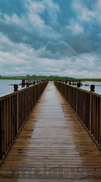 糖心app怎么进不去了-为何无法进入糖心app，一个用户体验的深度思考